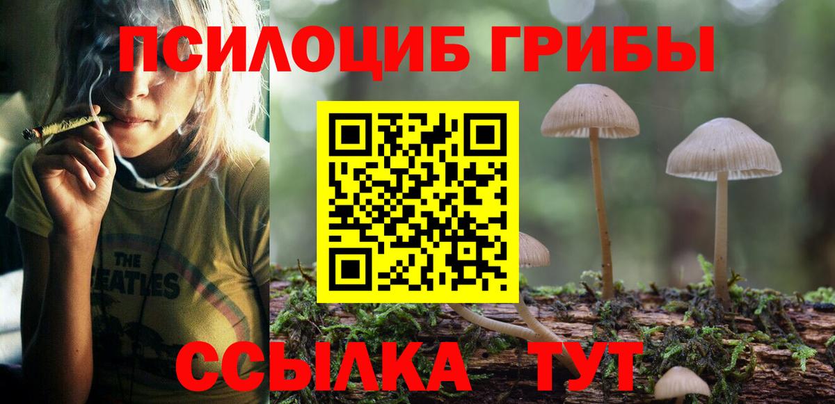 Галлюциногенные грибы Psilocybe Белорецк